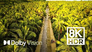 1000 STUNNING PLACES DOLBY VISION™ 8K HDR [upl. by Enrico]