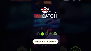 Day 13 Handling CommandLine Arguments in Nodejs NodeJS JavaScript CommandLineArguments [upl. by Anivid]