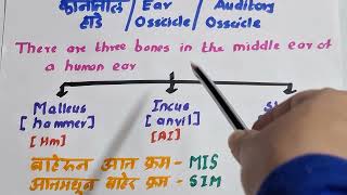 PYQ Series on Science Part 2Ear OssiclesAuditory Ossicles कानातील हाडे Ekakshi MPSC [upl. by Beeck]