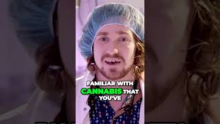 Unveiling the Fascinating World of Cannabis Exploring Genetic Diversity [upl. by Mosenthal233]