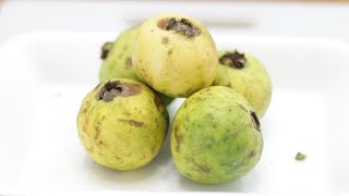 How to Eat Mexican Guava  White Guava Taste Test [upl. by Ripleigh780]