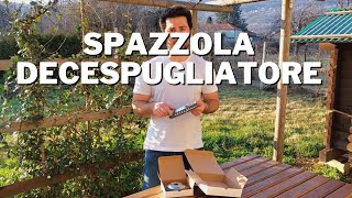 Provo la SPAZZOLA per DECESPUGLIATORE sugli autobloccanti [upl. by Evans318]