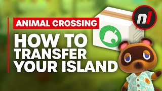 How to Transfer Your Animal Crossing Island to a New Switch Console Easily amp Safely [upl. by Gibby]