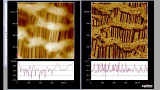 Celgard Sample tapping mode  Fast Scanning [upl. by Odradlig]