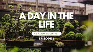 A Day In The Life As An Australian Bonsai Artist POV  Ep 1 [upl. by Nennerb714]