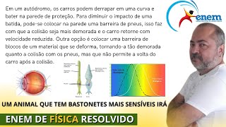 ENEM FÍSICA  No processo de captação da luz pelo olho para a formação de imagens estão envolvida [upl. by Eiuqcaj]