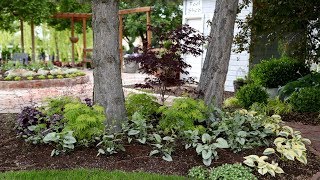 Beautiful Foliage Plants for Part Shade 🌿⛅️😍 Garden Answer [upl. by Ennaid]