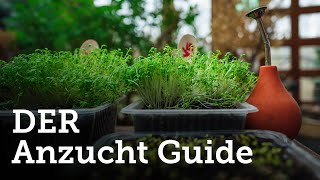 DER Anzucht Guide  Nach diesem Video gelingt euch jede Anzucht 🌱 [upl. by Nariko]