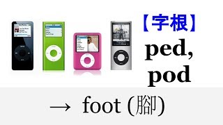 【字根 ped】English4Formosa 字首字根推廣教材 [upl. by Liberati]