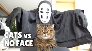 Cats vs NoFace  Kittisaurus [upl. by Peti505]