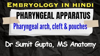 Pharyngeal apparatus embryology Hindi [upl. by Merras318]