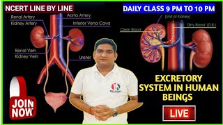 Excretory System in Humans  Class 10 Science Biology  Ncert with hindi Explanation live class [upl. by Nonnerb698]