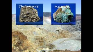 C4 Lesson 7 Phytomining and Bioleaching From C10 JGL [upl. by Sturges]