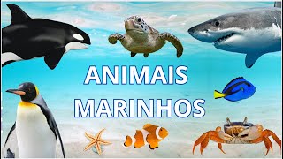 ANIMAIS MARINHOS [upl. by Shirberg151]