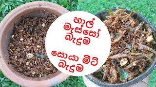 කල් තියා ගන්න පුළුවන් හාල් මැස්සෝ බැදුම සහ සෝයා මීට් බැදුම halmasso beduma  soya beduma [upl. by Yadsendew]