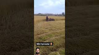 mini harvester viralvideo shortvideo funny trending kishan automobile 123kishan farming [upl. by Canica]