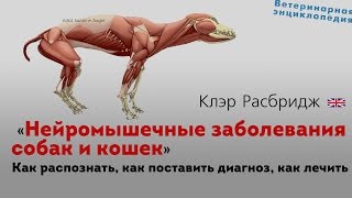 Нейромышечные заболевания собак и кошек Neuromuscular disease [upl. by Jun754]