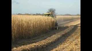 Miscanthus Grass Harvesting [upl. by Caro]