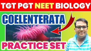 Coelenterata best MCQ  cnidaria mcq  TGT PGT LT GIC amp NEET Biology cnidariamcq coelenteratamcq [upl. by Duthie]