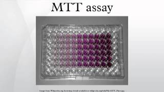 MTT assay [upl. by Riocard343]