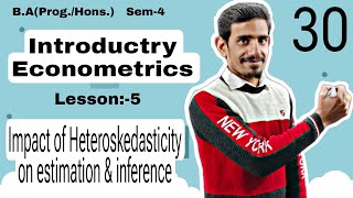 30 Impact of Heteroskedasticity on estimation amp Inference  Introductory or Basic Econometrics  Du [upl. by Iny86]