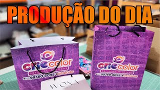 Novos Produtos na Loja  SPOILER  Produção do dia na Gráfica Rápida  Sacolas Personalizadas [upl. by Loftis]