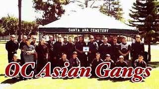 Orange County Asian Gangs Santa Ana Westminster Little Saigon Garden Grove [upl. by Annawot984]