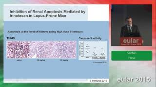 Lupus Nephritis and Irinotecan at EULAR 2015 [upl. by Nauaj266]