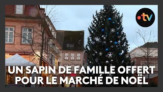 Un sapin de famille vieux de 34 ans offert pour le marché de Noël [upl. by Dart26]