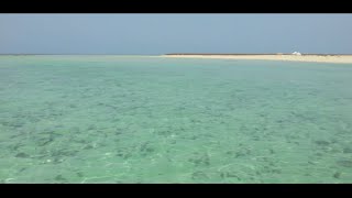 Durgham Island Red Sea Eritrea Turquoise Seas amp Pristine Beaches [upl. by Faulkner]