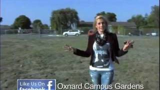 Oxnard Campus Park with Lea Baskas mov [upl. by Heidy]