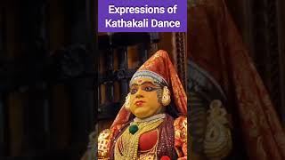 Expressions of Kathakali Dance [upl. by Doowrehs32]