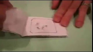 Mitosis Flipbook [upl. by Phio]