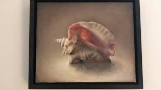 Conch Shell IV [upl. by Gottlieb]