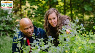 Natuurboek deel 4 Wilde bloemen amp planten in Nederland [upl. by Ystap]