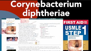 Corynebacterium diphtheriae in HindiUrdu by first aid for USMLE step 1 [upl. by Aisatsana]