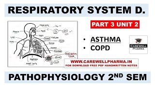 Unit 2  Asthma  COPD  Respiratory System  Part 3  Pathophysiology b pharm 2nd semester [upl. by Hploda]