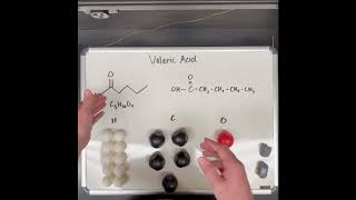 Building Molecules with Snatoms Valeric Acid [upl. by Asemaj]