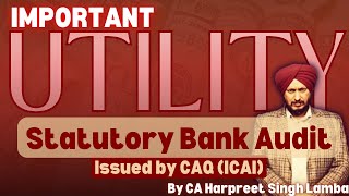 Important Utility for STATUTORY BANK AUDIT BANK UTILITY BANK EXCEL UTILITY EXCEL UTILITY CAQ IC [upl. by Dyrraj]