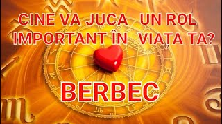 BERBEC 💗 Persoana cu care ai o poveste romantică de tipul albnegru zinoapte Te scoate din sărite [upl. by Ennairej16]