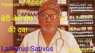 Lathyrus Sativus HomeopathicParalysisपछाघात एवं बेरी बेरी रोग की दवाDrAMishra [upl. by Yennek]