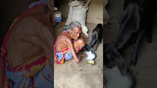 105 year old widow grandma eating Chicken curry Village rural life [upl. by Aracat9]