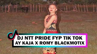 DJ NTT PRIDE  FYP TIK TOK 2023   AY KAJA X ROMY BLACKMOTIX [upl. by Ainavi]