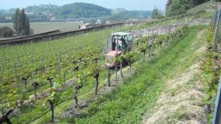 Tracteur à Chenilles LOEFFEL VitiPlus 95 avec pulvérisateur Fischer dans des terrasses [upl. by Bigler]