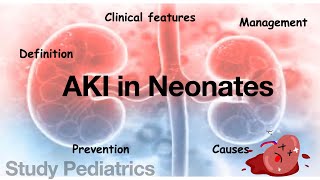 AKI in neonates  Acute Kidney Injury  ARF  Causes  Clinical Features  Management  Prevention [upl. by Ilojna]