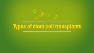 Types of stem cell transplants autologous vs allogeneic [upl. by Alsi782]