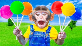 Monkey Plays Rainbow Lollipop Vending Machine so Satisfying  Miko Monkey Animal [upl. by Emilio]