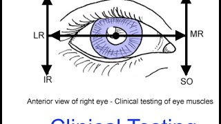 Clinical testing extraocular muscles tutorial [upl. by Gingras373]