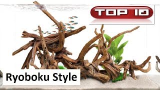 Top 10 Acquari Ryoboku bellissimi 🐠 [upl. by Roti]