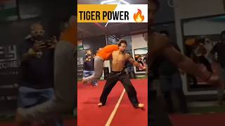 Tiger Shroff Hand Power 🔥 shorts tigershroff trending viralvideo ytshorts stunt gym workout [upl. by Nirihs679]